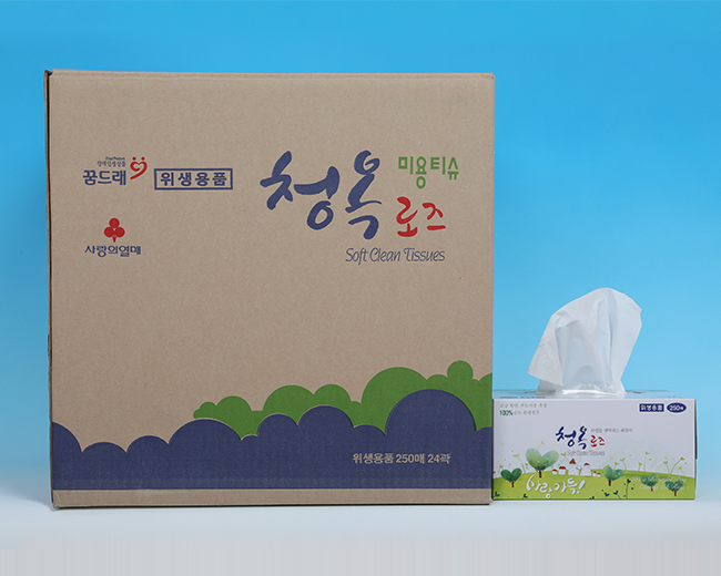 각티슈(250매)